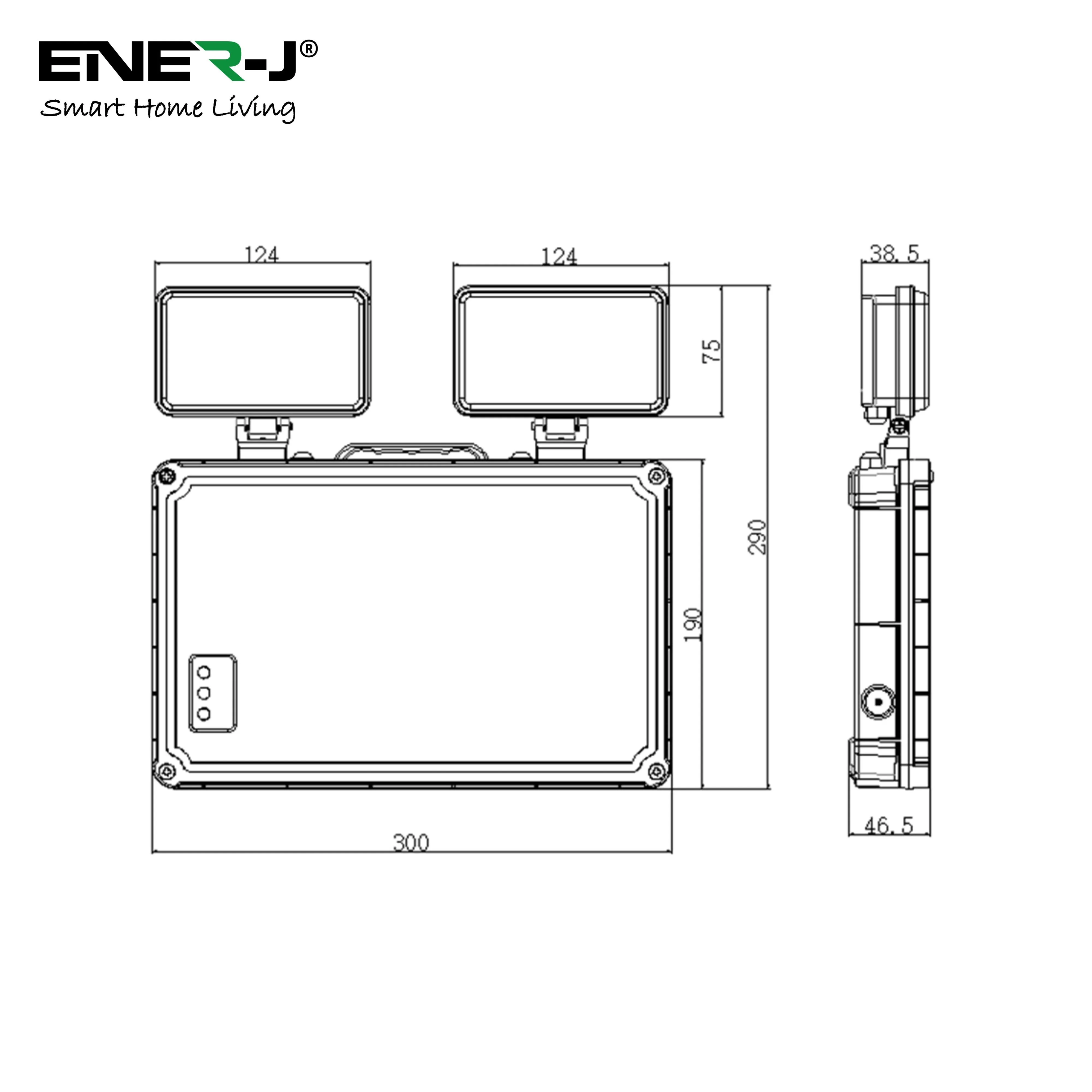 3W Emergency Twin Wall Spot Light, Non-Maintained Outdoor LED Light, 2x High Power LEDs, IP65 Waterproof, 6000K