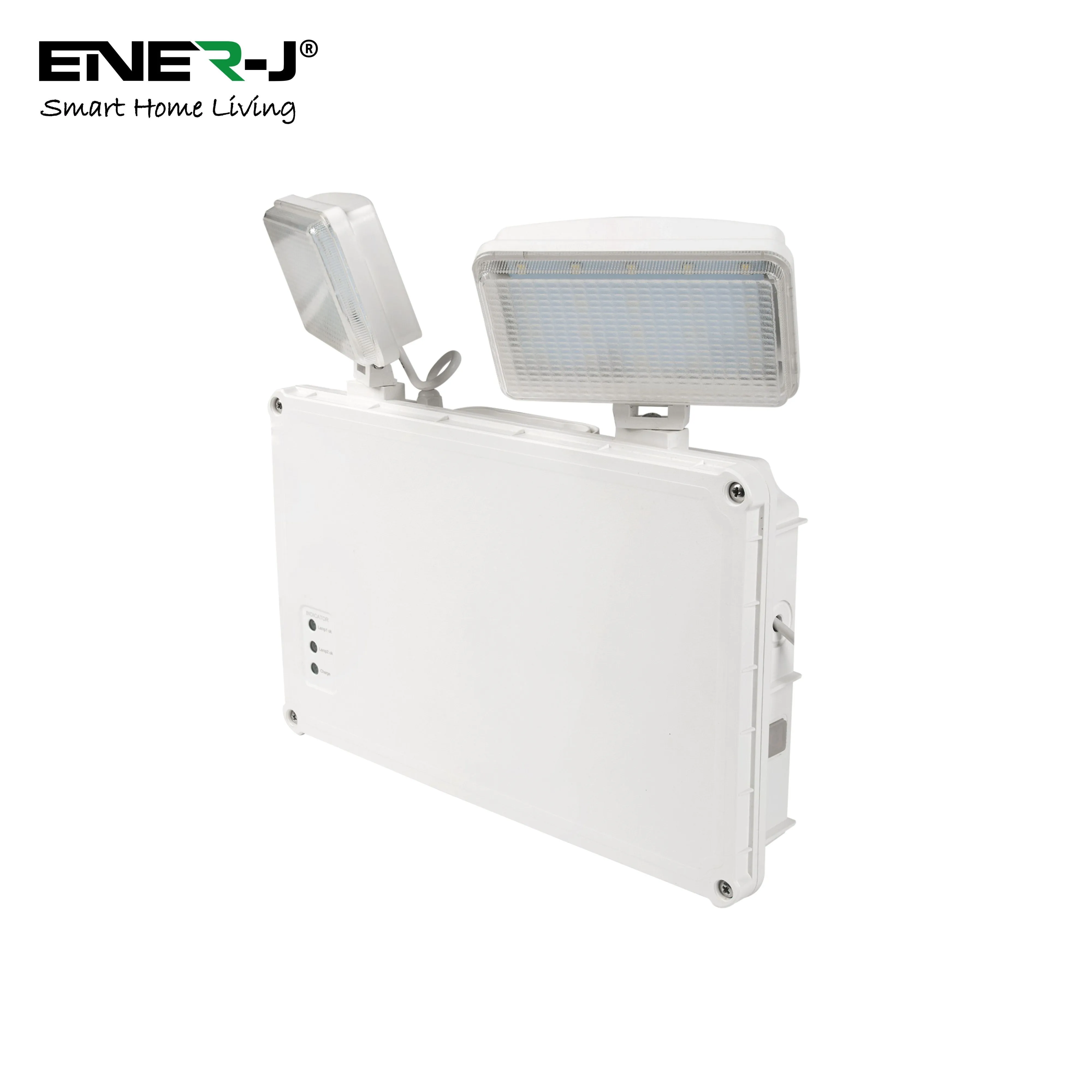 3W Emergency Twin Wall Spot Light, Non-Maintained Outdoor LED Light, 2x High Power LEDs, IP65 Waterproof, 6000K