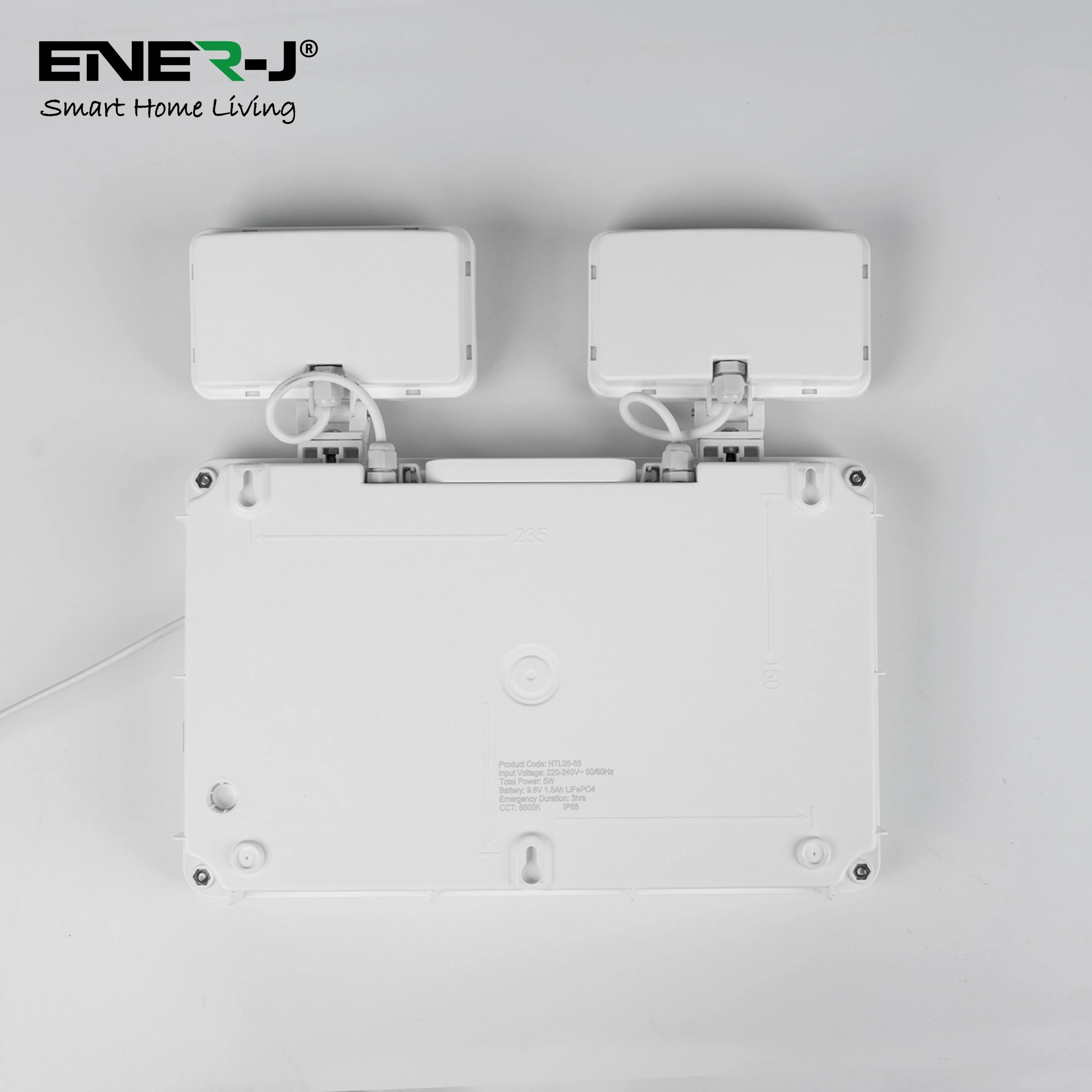 3W Emergency Twin Wall Spot Light, Non-Maintained Outdoor LED Light, 2x High Power LEDs, IP65 Waterproof, 6000K