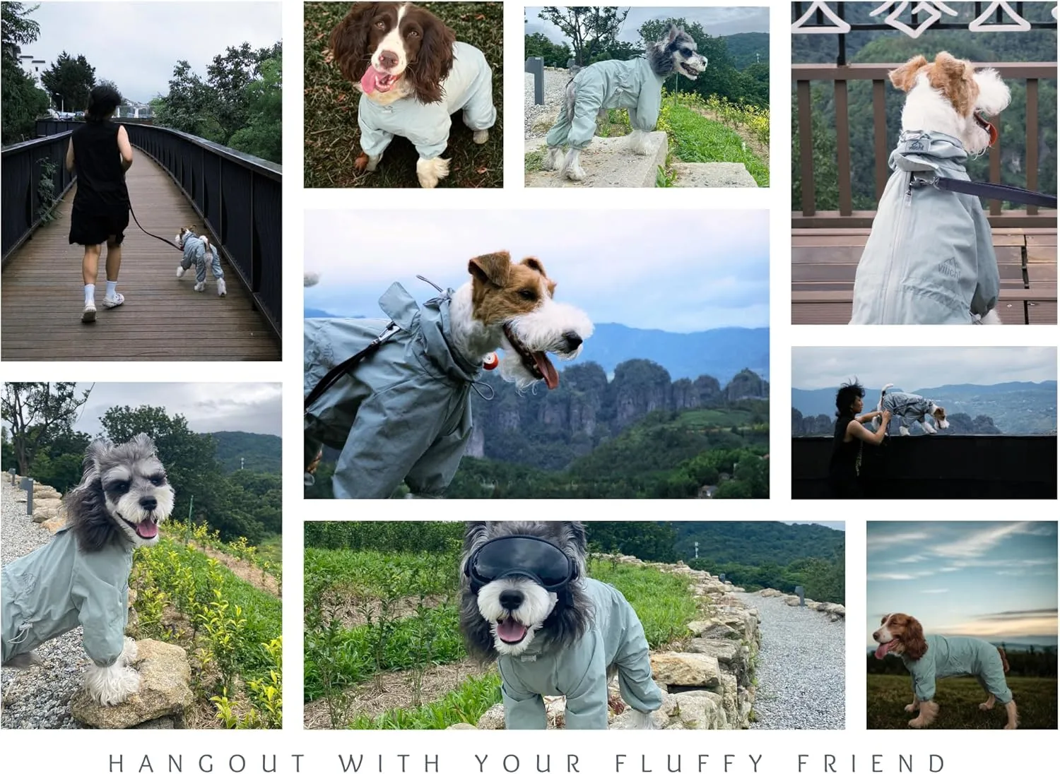 Dog Raincoat, Waterproof Coat, Light Weight & Weather Resistant Shell, Full Coverage Rain Jacket with Legs, Grey, Including Storage Bag, for Small Breed (Small)