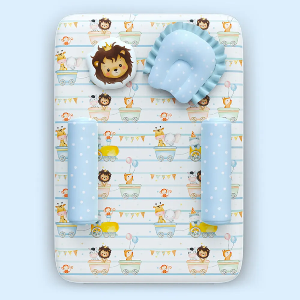 Fancy Fluff 5 Pc Organic New Born Bed Set - Joy Ride