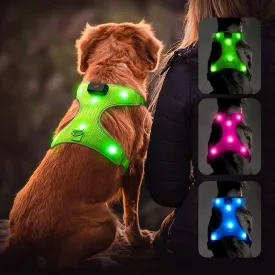 LED Dog Harness, Lighted up USB Rechargeable Pet Harness, Illuminated Reflective Glowing Dog Vest Adjustable Soft Padded No-Pull Suit for Small, Medium, Large Dogs (Green, S)