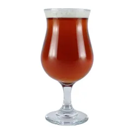 Spiced Winter Ale Extract Beer Recipe Kit