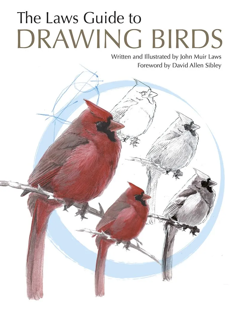 The Laws Guide to Drawing Birds Paperback  Illustrated, April 1, 2015